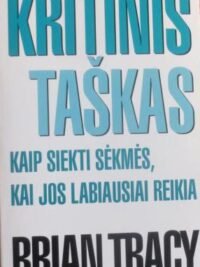 Kritinis taškas