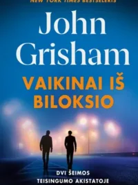 Vaikinai iš Biloksio