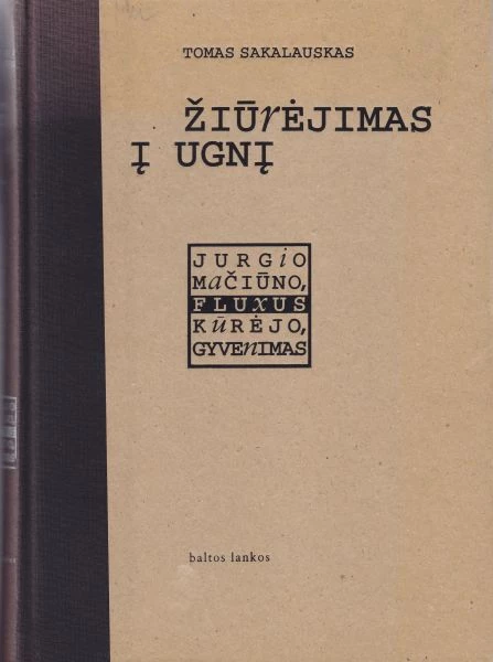 Žiūrėjimas į ugnį