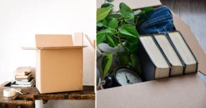 book cardboard 9049c1c4 aab8 454d 9ff1 7979b690cb1d 1100x