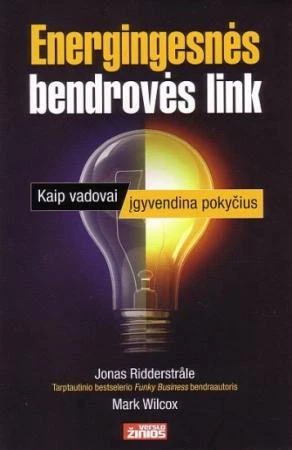 Energingesnės bendrovės link
