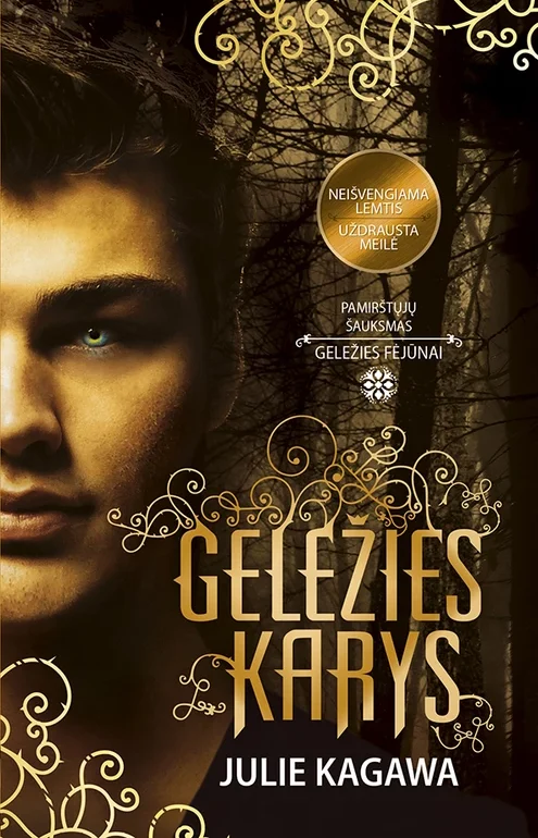 Geležies karys. Geležies fėjūnai. 7 knyga