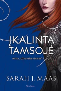 Įkalinta tamsoje. Antra „Užkerėto dvaro“ knyga