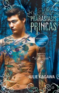 Prarastasis princas