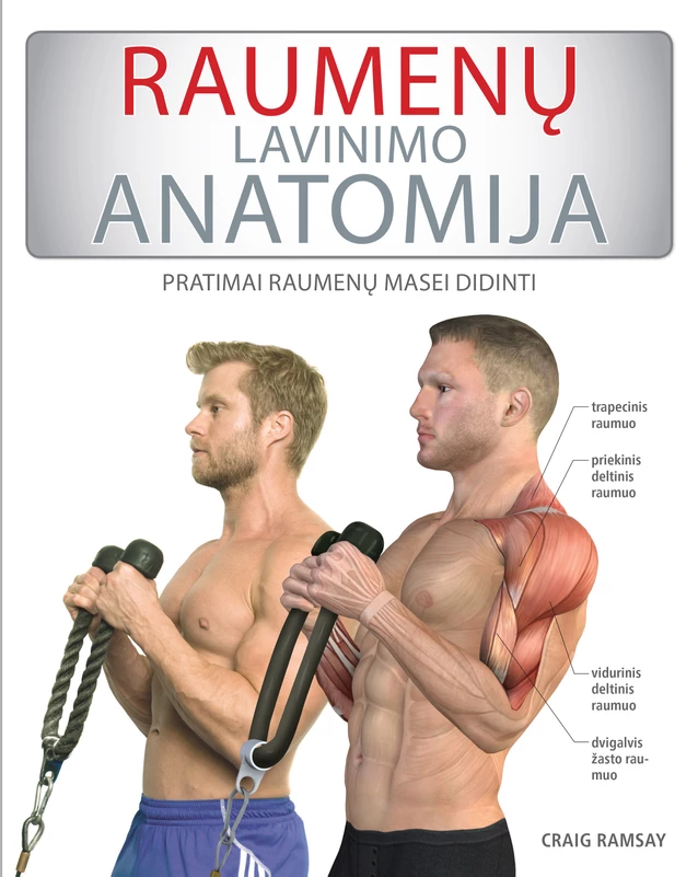 Raumenų lavinimo anatomija