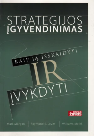 Strategijos įgyvendinimas