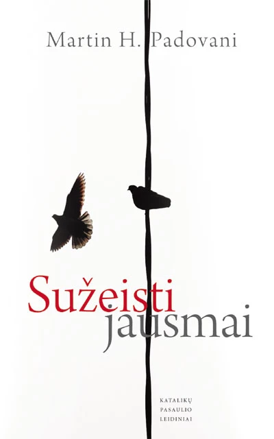 Sužeisti jausmai