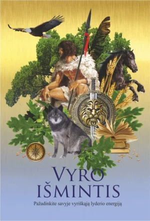 Vyro išmintis