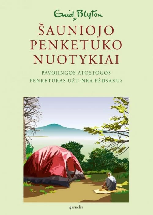Šauniojo penketuko nuotykiai. 7 knyga